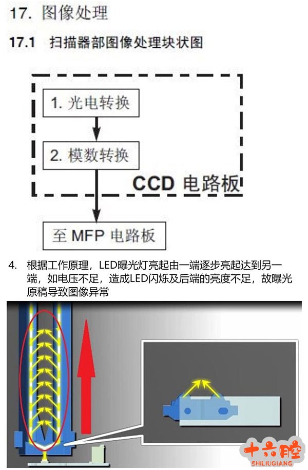BH278半浅.jpg
