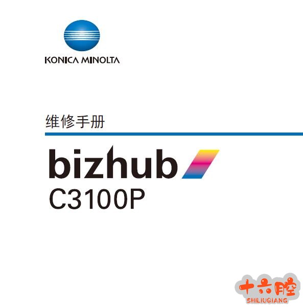C3100p.jpg