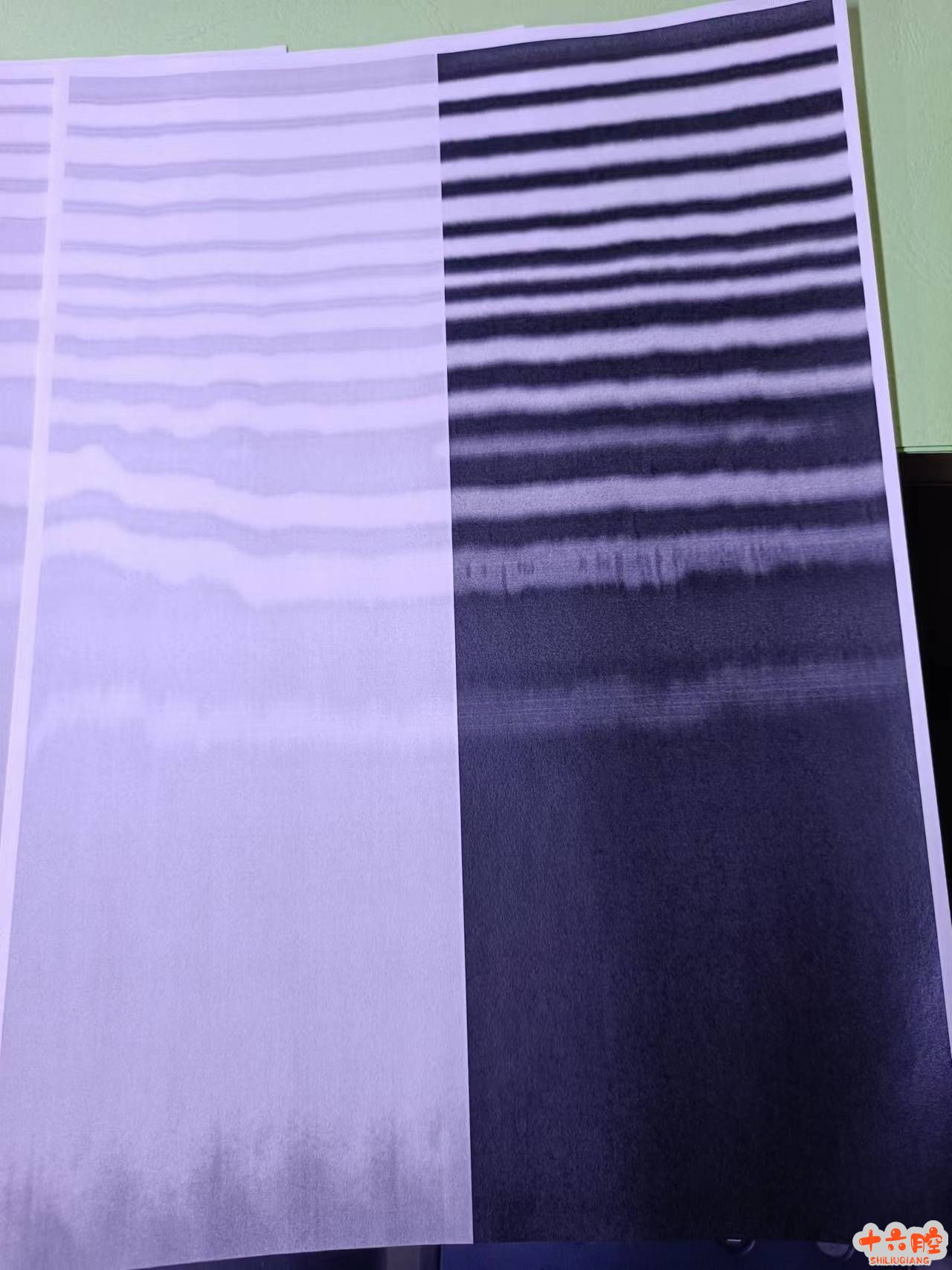 b842f59b30334464304849643650900(1).jpg
