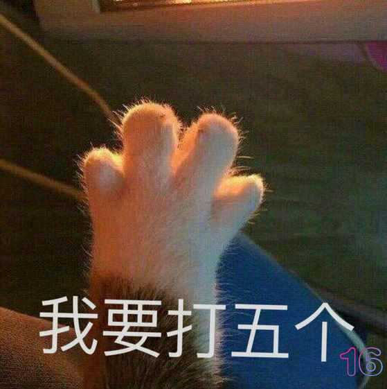 QQ图片20240711090054.jpg